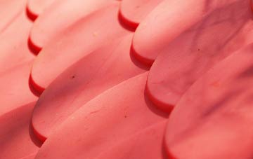 Burroughston plastic roof costs