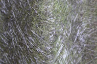 Burroughston fibreglass roof work